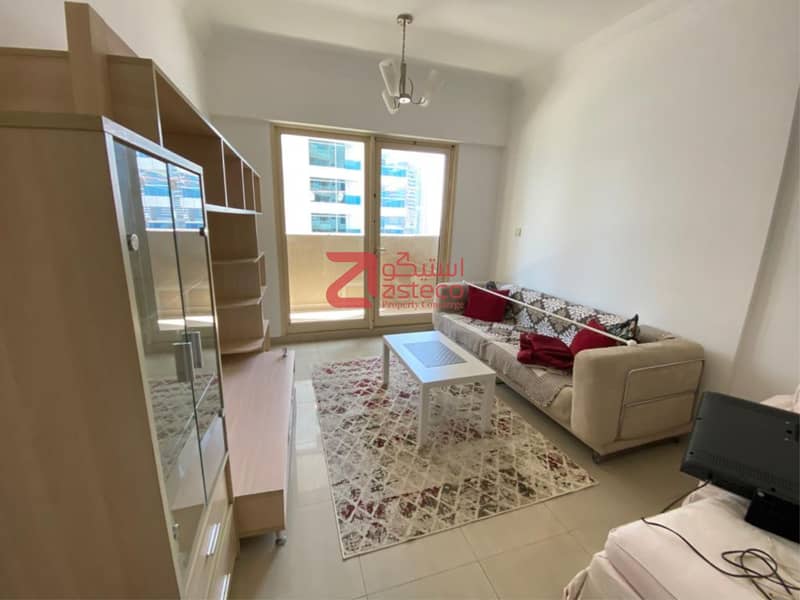 STUNNING FULLY FURNISHED 1 BR APARTMENT