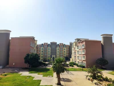 1 Bedroom Flat for Rent in Discovery Gardens, Dubai - Spacious 1BR near by metro | 1 Month free