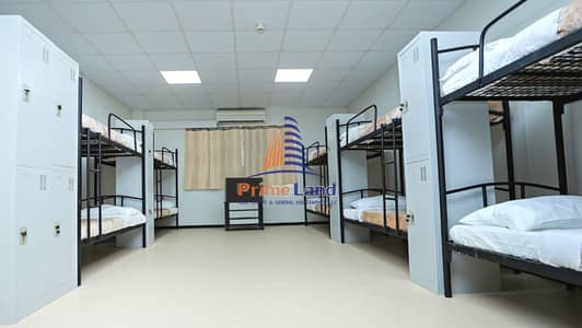 Labour Camp for Rent in Mussafah, Abu Dhabi - Affordable and Comfortable Labor Camp Rentals Available