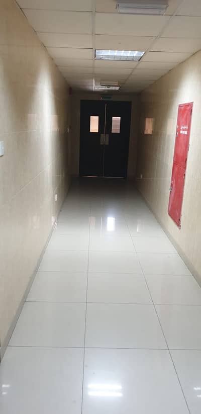 Building for Sale in Al Nabba, Sharjah - For sale in Sharjah, a building in the Al-Nabaa area of 9000 feet An investment opportunity Consisting of ground floor + 8 floors