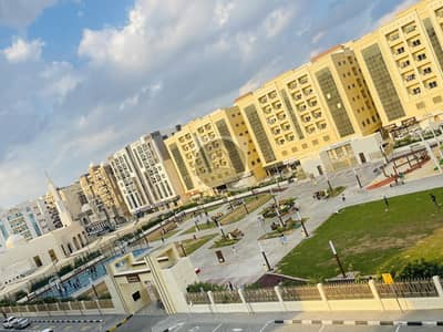 1 Bedroom Flat for Rent in Muwailih Commercial, Sharjah - Front Of Muwaileh park | Specious Ready to Move 1-Bhk  with 2-Washroom| No Deposit | Open View | Family Building | Call
