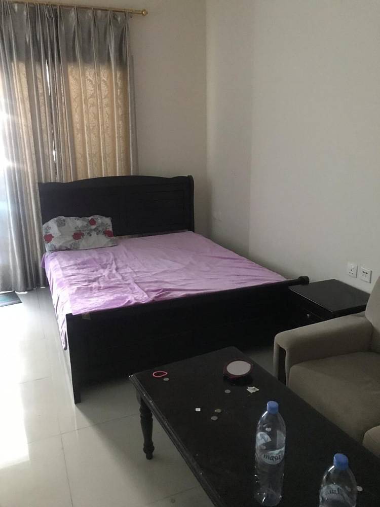 fully furnished studio Apt for rent in Elite 5 with balcony