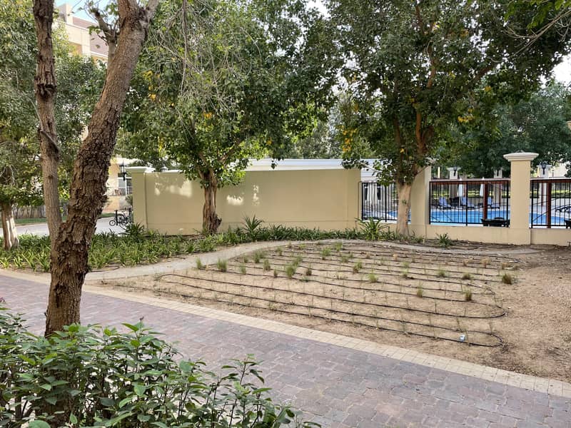 Well Maintain | 1BHK | Pool View