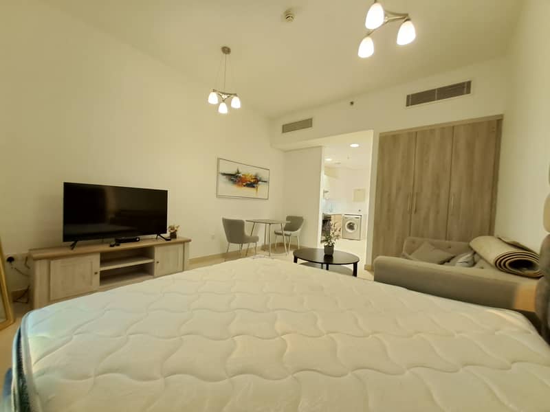 Fully furnished studio very nice apartment with all amenities just in