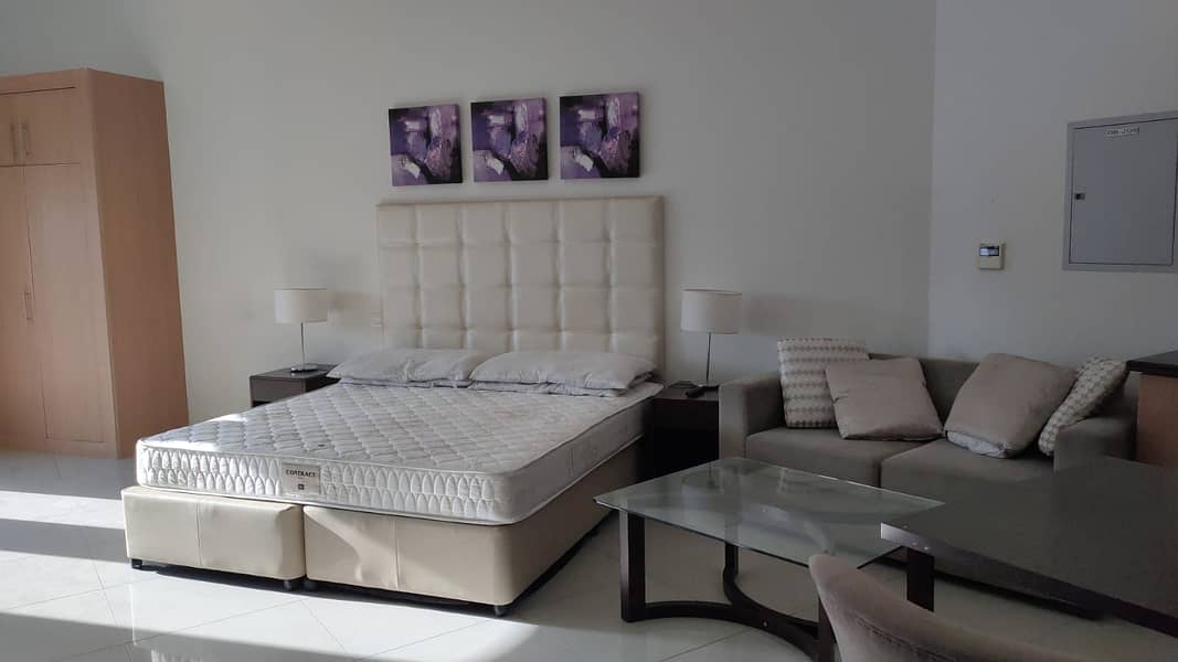 Spacious Fully Furnished Studio with balcony