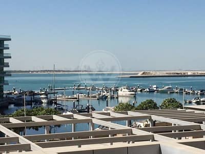 استوديو  للايجار في شاطئ الراحة، أبوظبي - شقة في البرزة البندر شاطئ الراحة 65000 درهم - 7295767