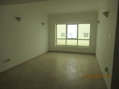 فلیٹ 2 غرفة نوم للايجار في بر دبي، دبي - شقة في المنخول بر دبي 2 غرف 60000 درهم - 7298539