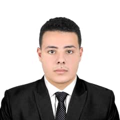 Elshabrawy Mohamed Elshabrawy Mohamed