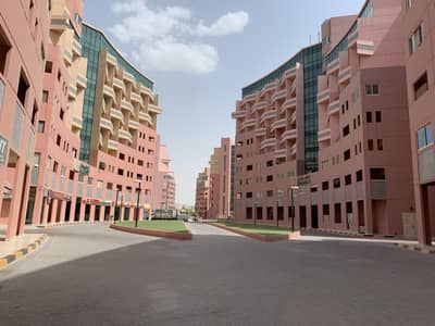 ONE Bedroom in Pink Building The Gardens Apartment I FREE Chiller, 1 Month & Maintenance I  13Month Contract I GFA