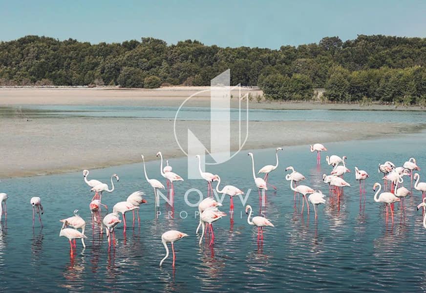 Flamingo & Creek View | Unfurnished | Q2 2023