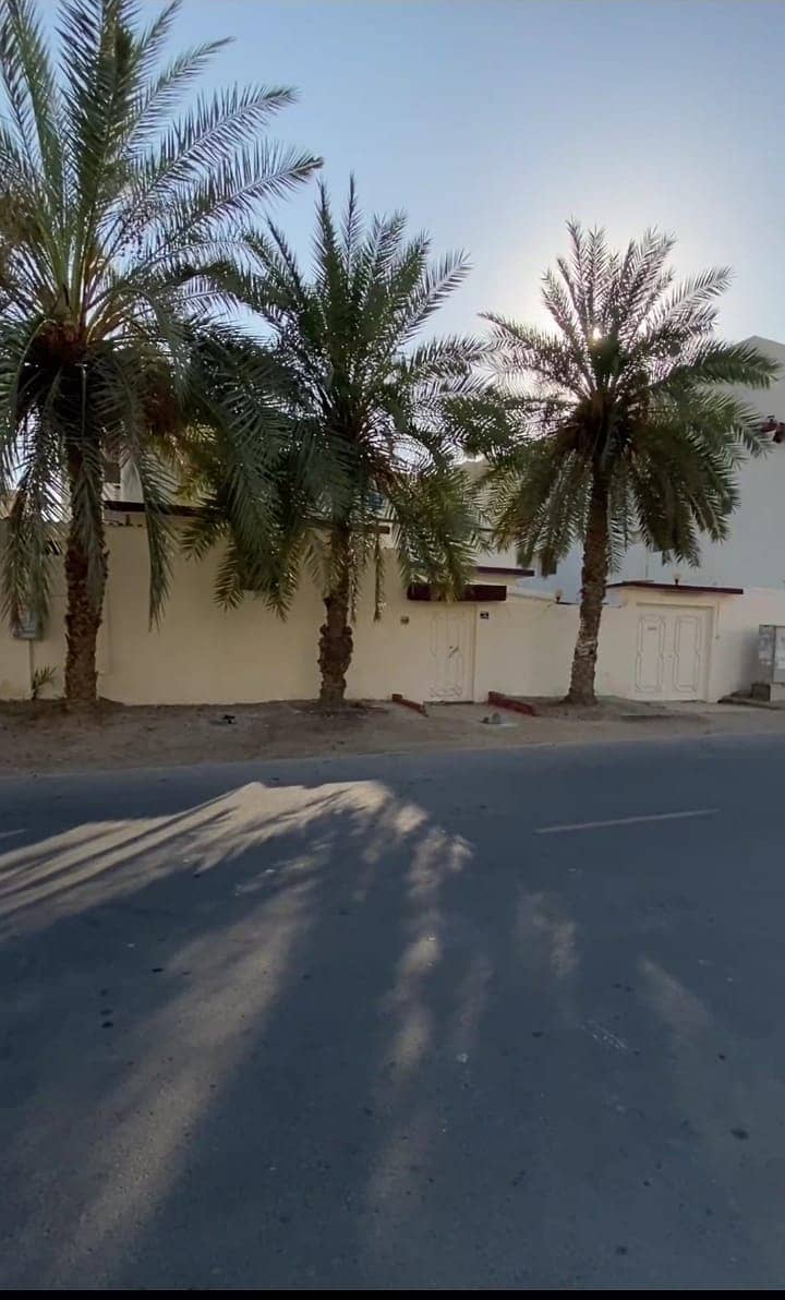 فرصة ممتازة للبيع بيت شعبي بالنعيمية بقلب عجمان فرصة ممتازة للبيع بيت شعبي بالنعيمية بقلب عجمان