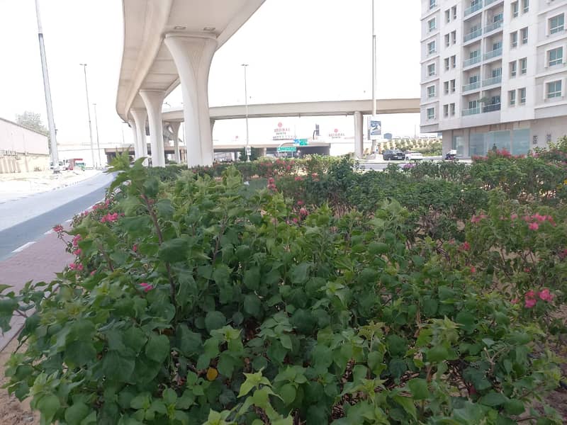 位于穆瓦利赫商业区,穆瓦伊莱3号大楼 1 卧室的公寓 34999 AED - 7562703 位于穆瓦利赫商业区,穆瓦伊莱3号大楼 1 卧室的公寓 34999 AED - 7562703