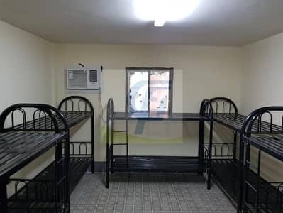 Labour Camp for Rent in Mussafah, Abu Dhabi - ROOMS AVAILABLE