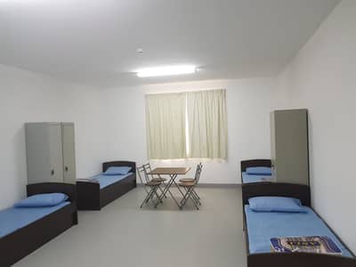 10 Bedroom Labour Camp for Rent in Mussafah, Abu Dhabi - BRAND NEW LABOR ACCOMODATION