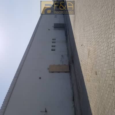 Warehouse te Huur in Ajman Industrial, Ajman - Magazijn in Ajman Industrial，Ajman Industrial 1, 175000 AED - 5682087