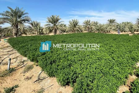 Plot for Sale in Al Salamat, Al Ain - Massive Land | Negotiable | Farm At Al Remah
