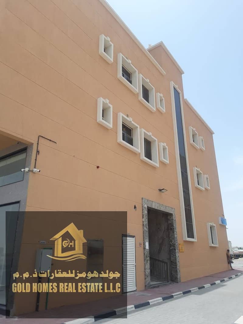 Hot Deal Brand New Building available for executive staff or Bachelors for rent in Al jurf Ajman