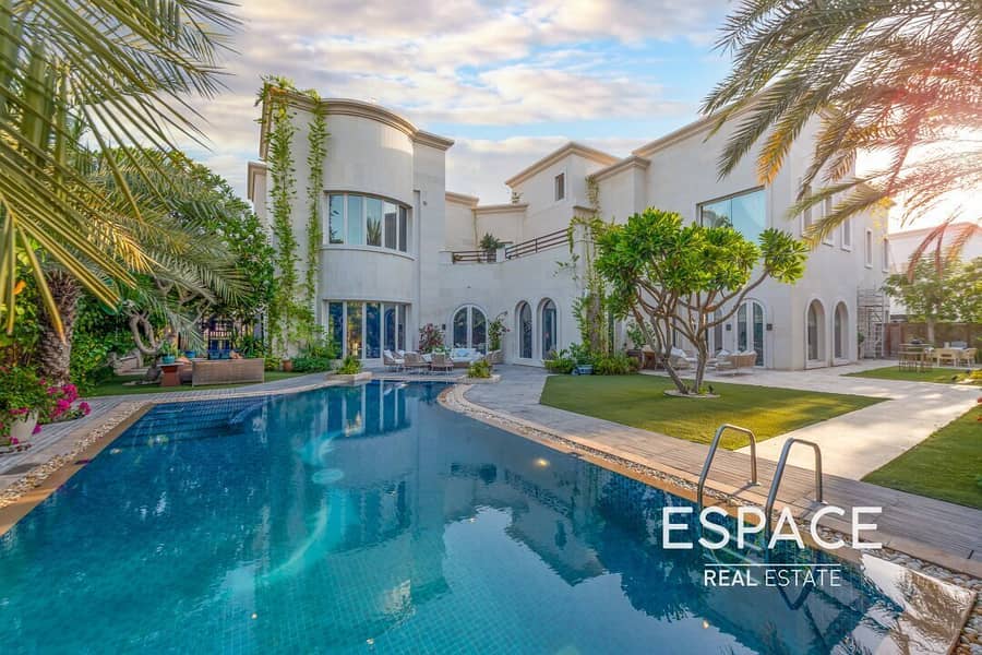 Pool - Beautiful Garden - Basement Pool - Beautiful Garden - Basement