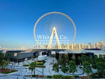 3 Bedroom Apartment for Rent in Bluewaters Island, Dubai - Dubai Ain Views | Modern | Available Now