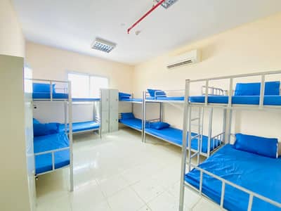 Labour Camp for Rent in Mussafah, Abu Dhabi - VERY NEAT STAFF ACCOMODATION