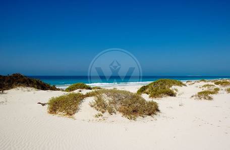 Spacious | Luxurious |Saadiyat apartment Spacious | Luxurious |Saadiyat apartment