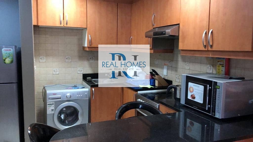 5 10% ROI ! Specious Large Furnished  Studio with Parking! near to Metro