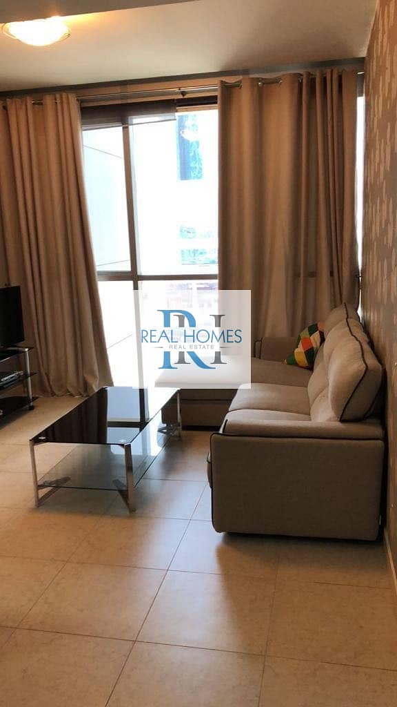 12 10% ROI ! Specious Large Furnished  Studio with Parking! near to Metro