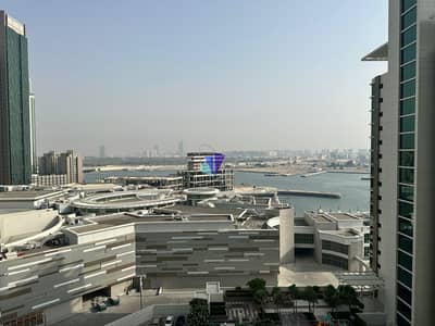 2 Bedroom Apartment for Rent in Al Reem Island, Abu Dhabi - Ready To Move | Stunning 2BR Apartment | Huge Layout | All Amenities |