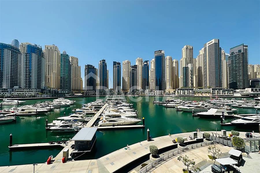 شقة في فيدا ريزيدنس دبي مارينا،دبي مارينا 2 غرف 245000 درهم - 7815893 شقة في فيدا ريزيدنس دبي مارينا،دبي مارينا 2 غرف 245000 درهم - 7815893