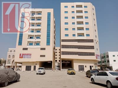 Shop for Rent in Liwara 1, Ajman - 2 months free Available Brand New Shops Available