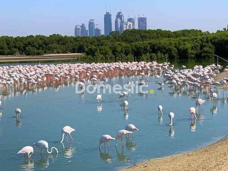 ارض سكنية في بوكدرة 67500000 درهم - 7871646 ارض سكنية في بوكدرة 67500000 درهم - 7871646