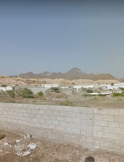 ارض سكنية  للبيع في مصفوت، عجمان - من المالك مباشره ارض مصفوت للبيع