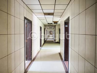 阿尔萨斯， 夏尔迦 员工宿舍待租 - 位于阿尔萨斯 的员工宿舍 2000 AED - 7916256