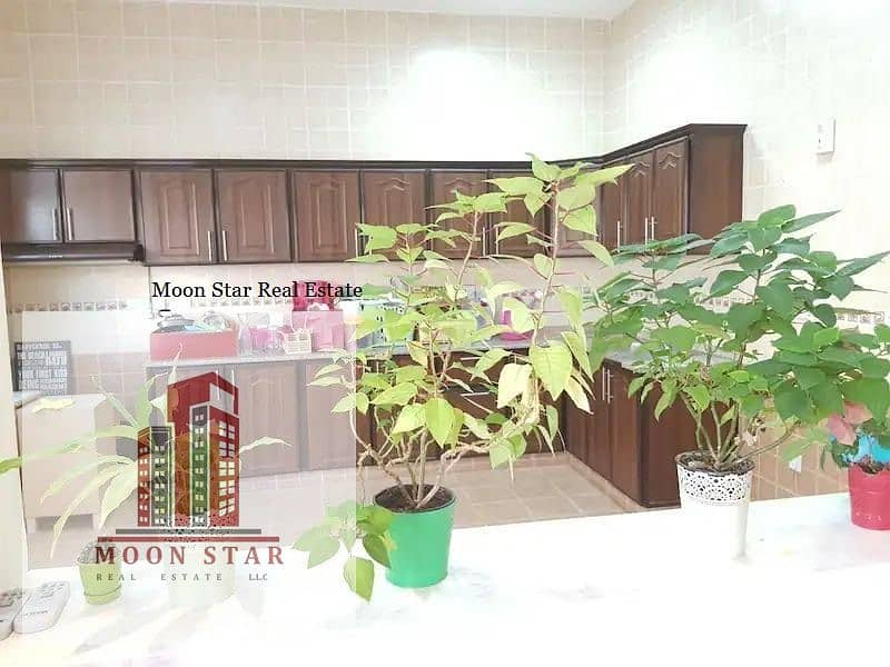European Community 1 Bedroom Hall Separate Huge Kitchen With Private Backyard Modern Style Proper