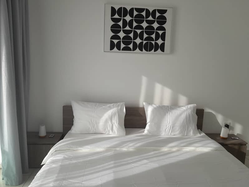 Elegant and Extremely Spacious 1 Bedroom - Image 10