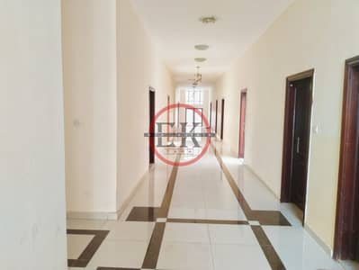 1 Bedroom Flat for Rent in Asharij, Al Ain - 1BHk | Covered Parking | Near to Tawam