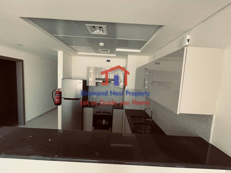 8 Now Leasing ! Brand New One Bedroom APT near Khalifa Park