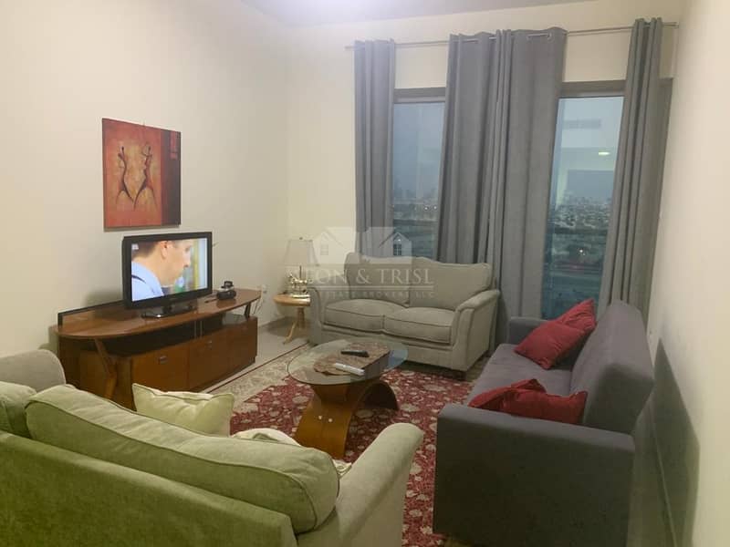 2 Specious 0ne Bed furnished  Apartment near metro