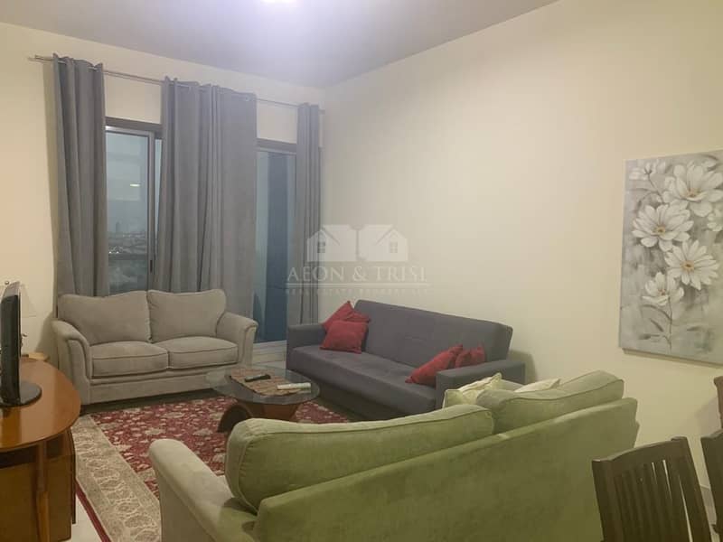 17 Specious 0ne Bed furnished  Apartment near metro