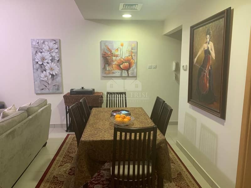 19 Specious 0ne Bed furnished  Apartment near metro