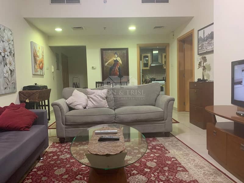 20 Specious 0ne Bed furnished  Apartment near metro