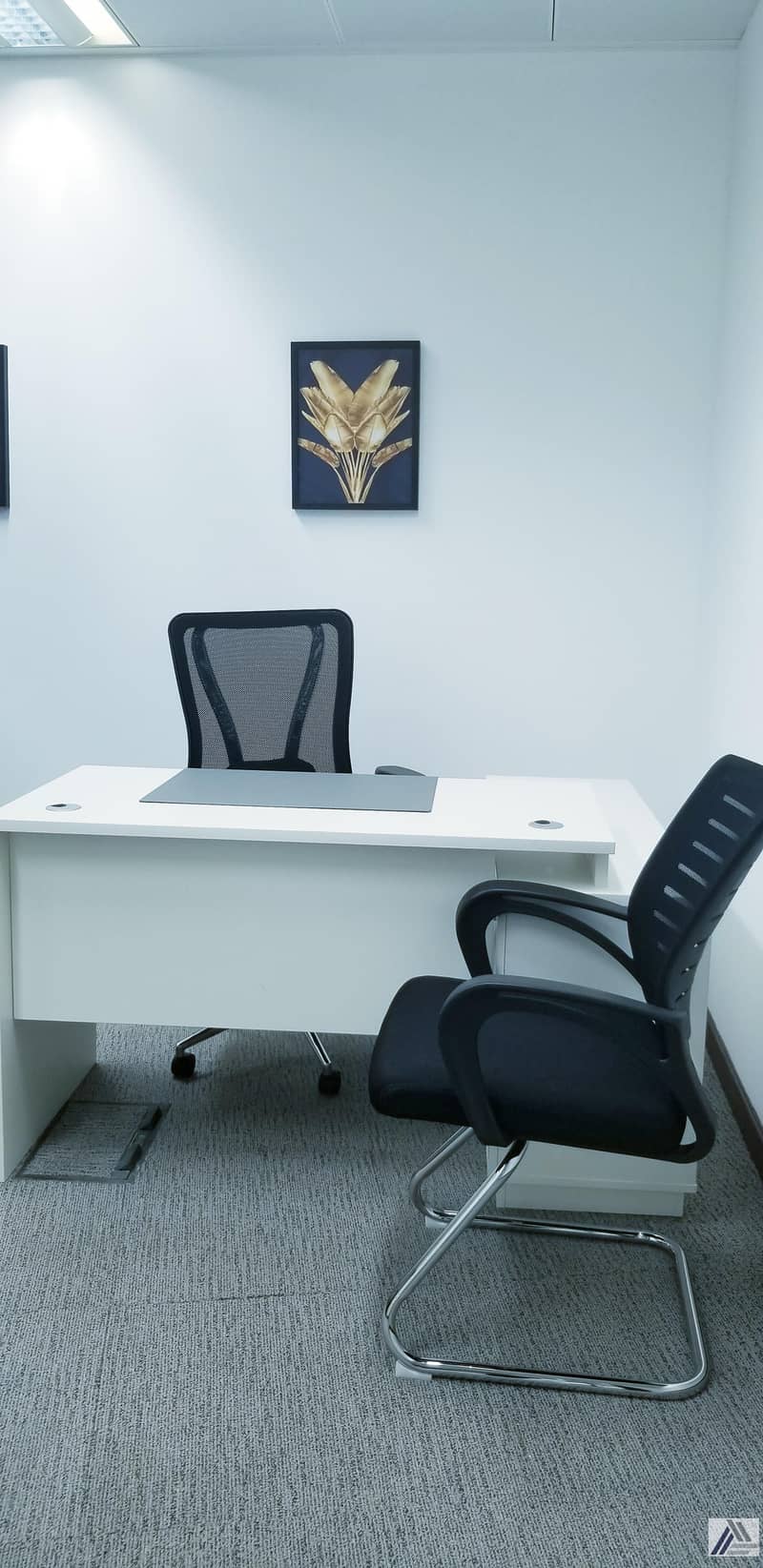 13 OFFER OF THE MONTH |VIRTUAL OFFICE/CALL HANDLING/MEETING ROOM FACILITIES/QUOTA APPROVAL/TENANCY AGREEMENT ONE YEAR