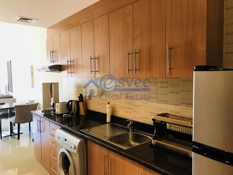 3 Reduced Rent !!Spacious and Furnished Studio Apartment for rent