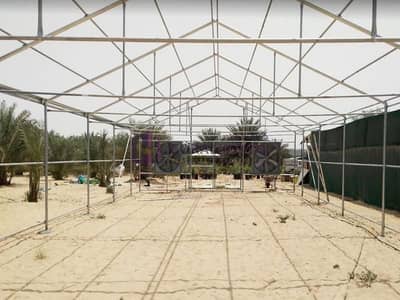 Plot for Sale in Wadi Al Amardi, Dubai - Huge Farm Plot Suited For Agricultural Use