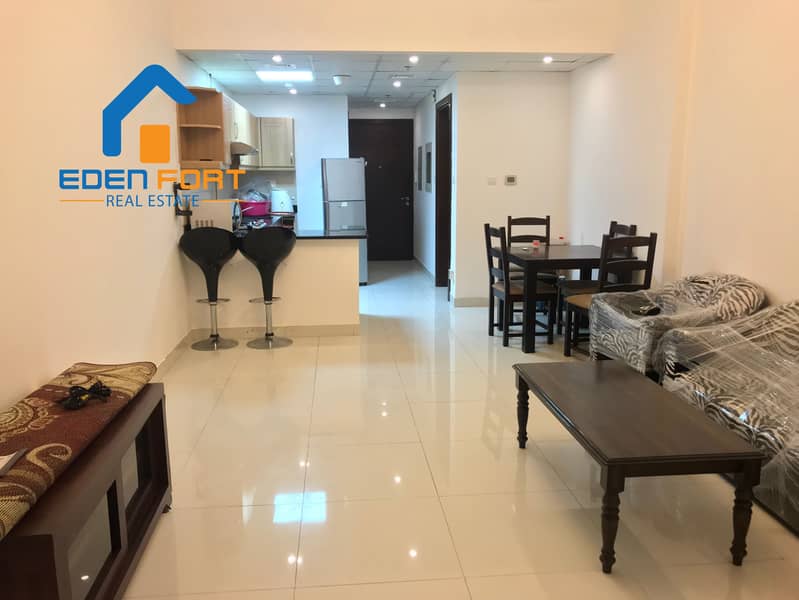 Furnished One Bedroom Apartment For Rent