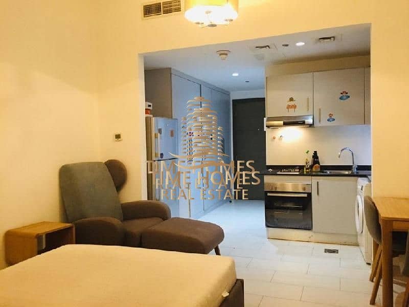 Well Maintained Fully Furnished and Upgraded Studio Apartment