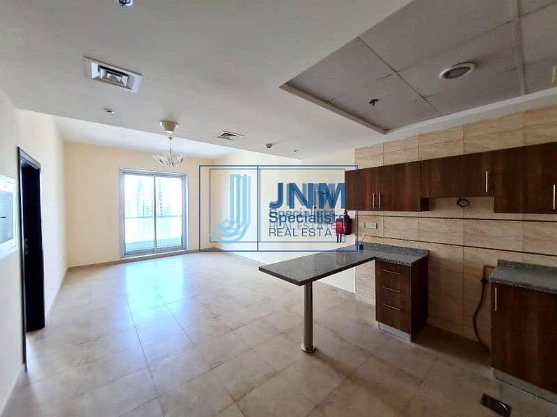 14 Spacious 1 Bedroom Apartment With Balcony For Rent