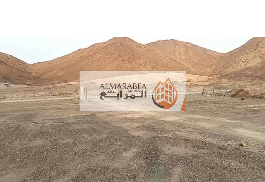 for sale Two agricultural lands fenced with nets in Ras Al Khaimah A prime location near Wadi Asfni