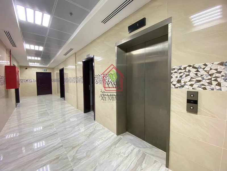 Brand New Commercial Building| Basement Parking| Elevator