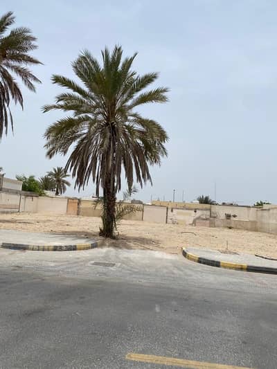 Plot for Sale in Al Rifa, Sharjah - للبيع ارض في منطقة الرفاع
